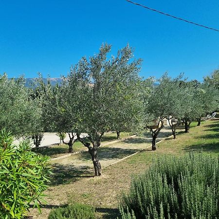 ホテル La Fanette Montbrison-sur-Lez エクステリア 写真