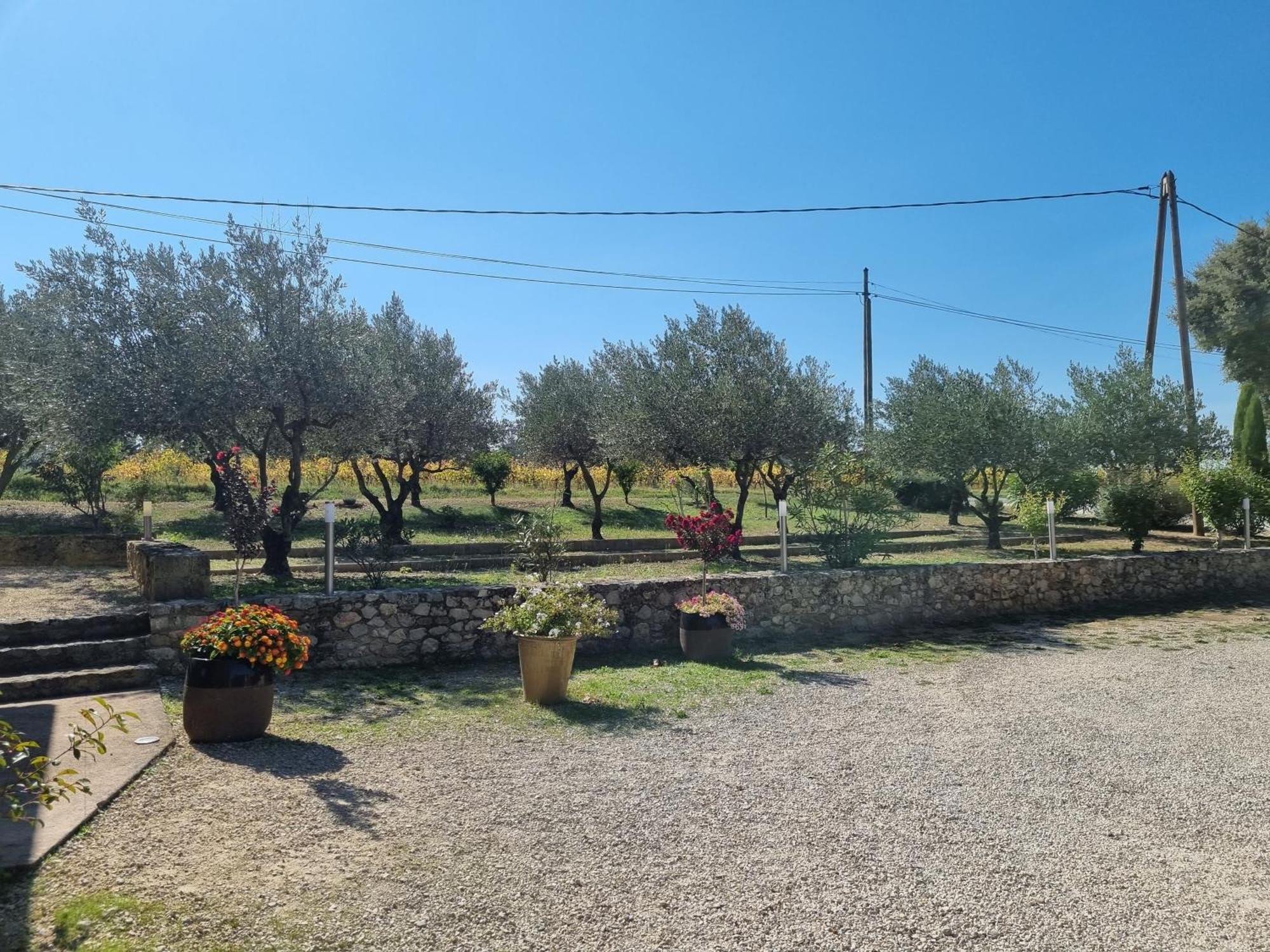 ホテル La Fanette Montbrison-sur-Lez エクステリア 写真