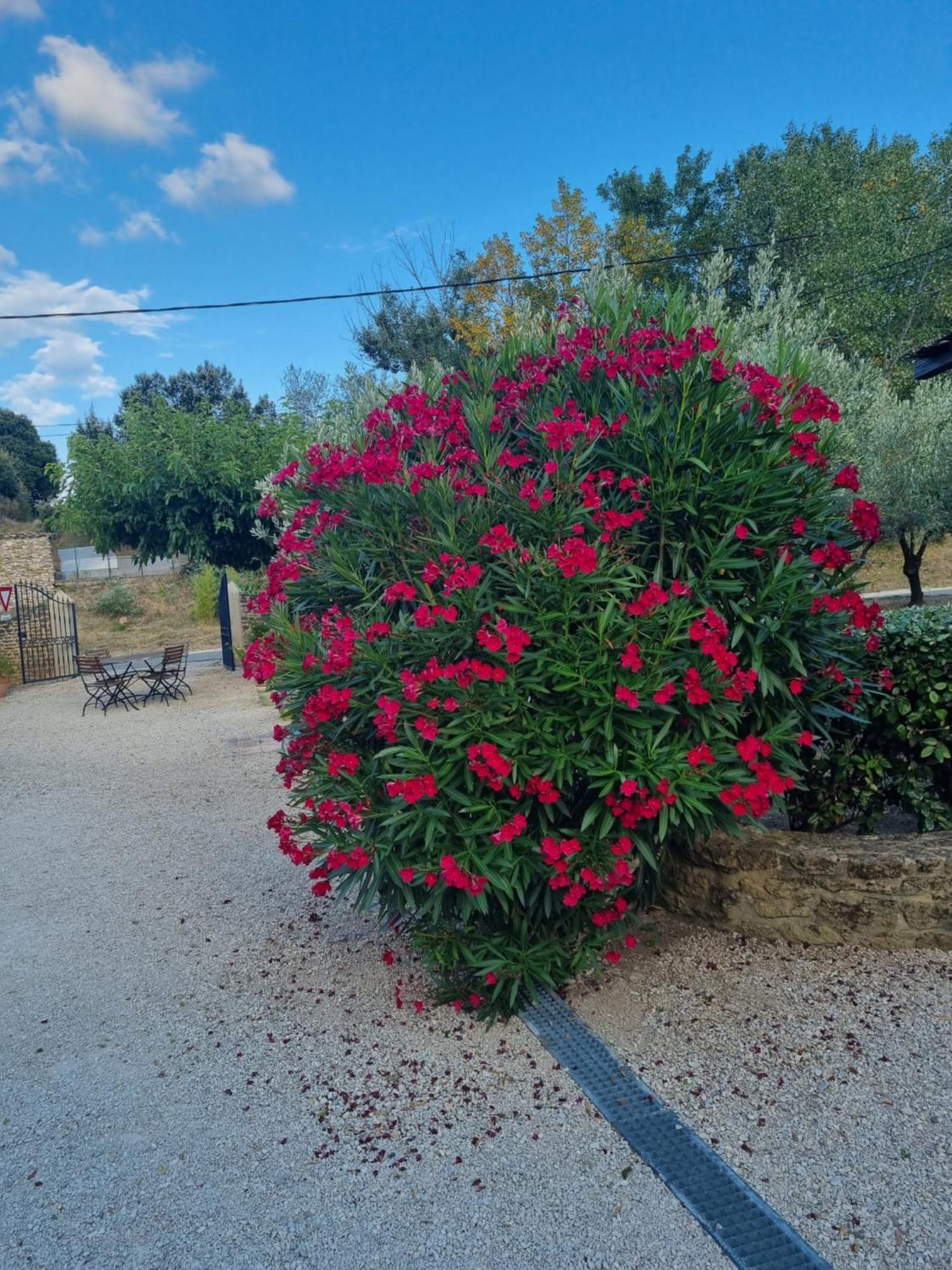 ホテル La Fanette Montbrison-sur-Lez エクステリア 写真